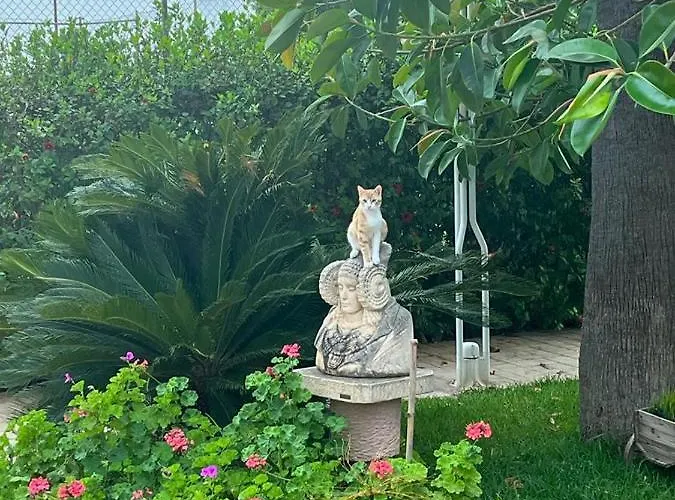 فندق مبيت وإفطار Romantico Wellness Casa Veronica إلتشه