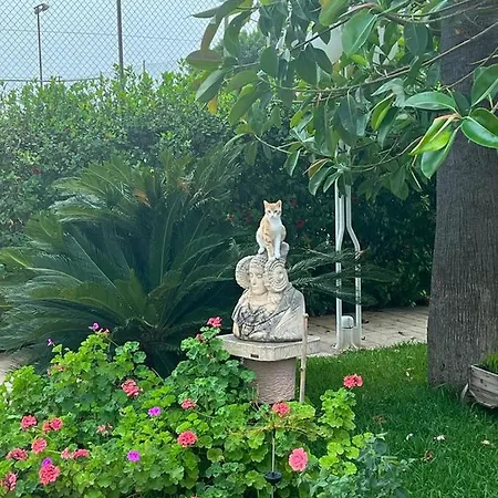 Bed & Breakfast Romantico Wellness Casa Veronica Elche