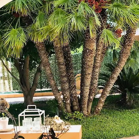 Romantico Wellness Casa Veronica 4* Elche