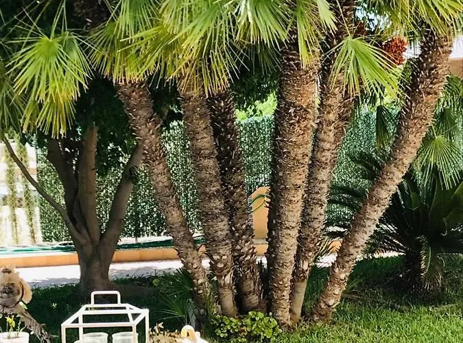 Romantico Wellness Casa Veronica 4* Elche